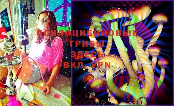 прущая мука Корсаков