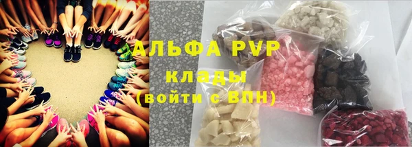 прущая мука Корсаков