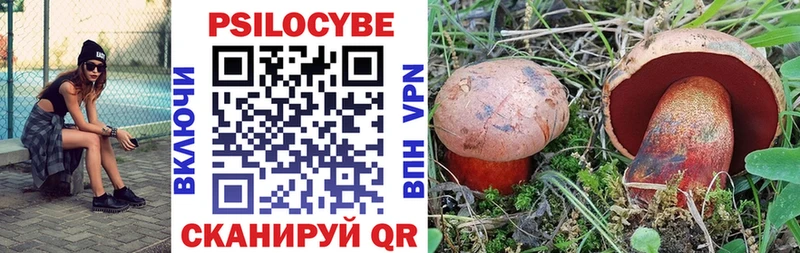 Галлюциногенные грибы прущие грибы Купить Кирсанов